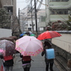雪の朝 
