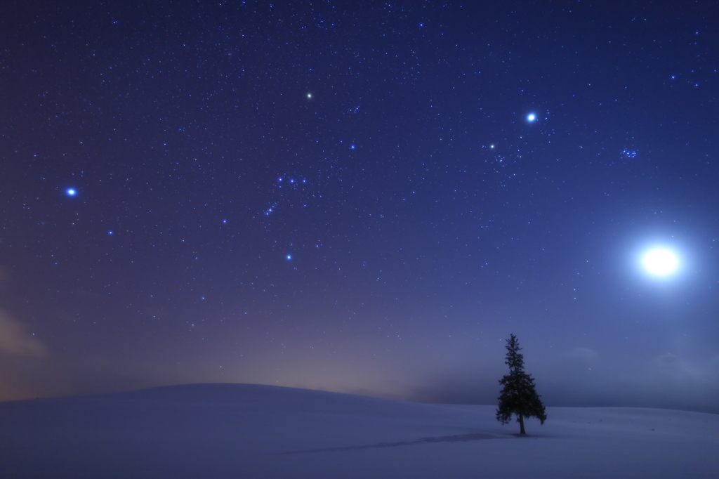 星空に照らされて