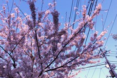 空へ一直線