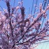 空へ一直線