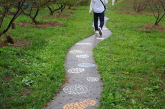 雨の散歩道