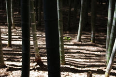 縦横無尽