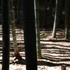 縦横無尽