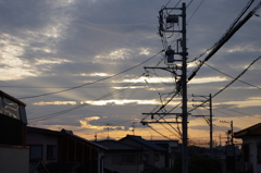 頼る