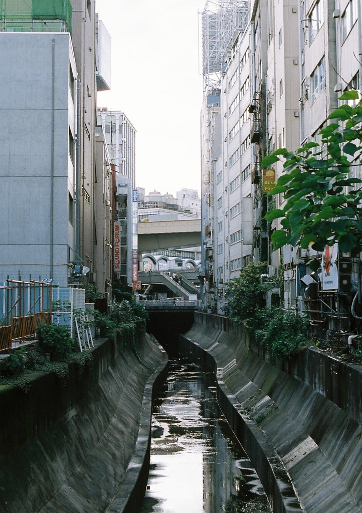 shibuya #4