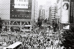 shibuya  no.1