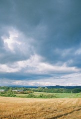 ゴッホを思いながら