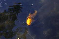 俺のと同じ色じゃん！！