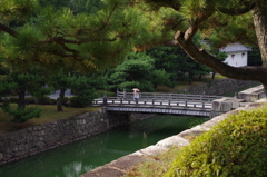 今年の夏は日傘率高し