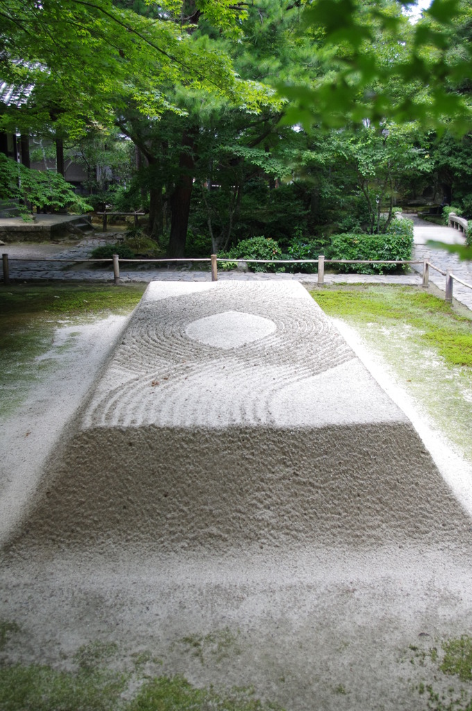 新商品の白いカステラです。