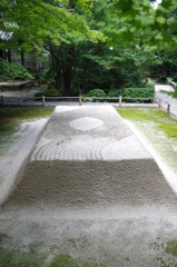 新商品の白いカステラです。