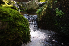 気持ち涼しくなってきました。