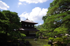 金より銀が好き！