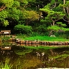 とある公園の風景