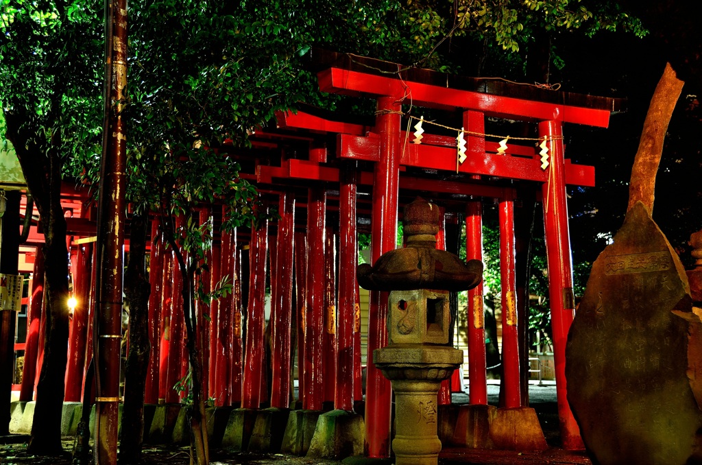 夜の花園神社