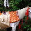 神事を待つ馬