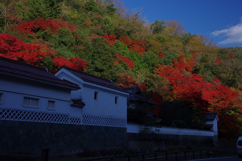 堀庭園