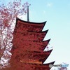 宮島の五重塔