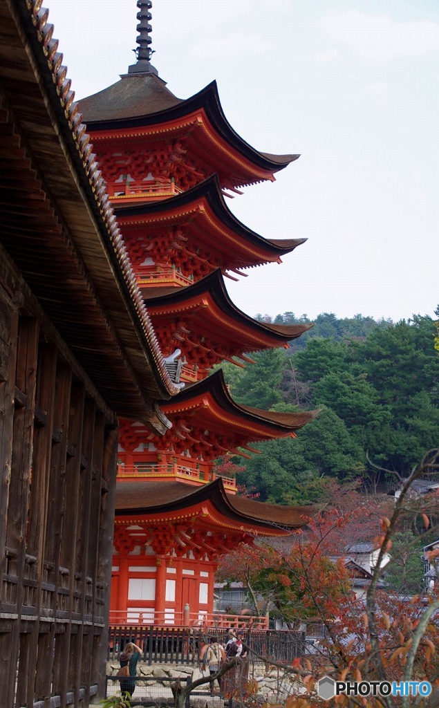 宮島の五重塔