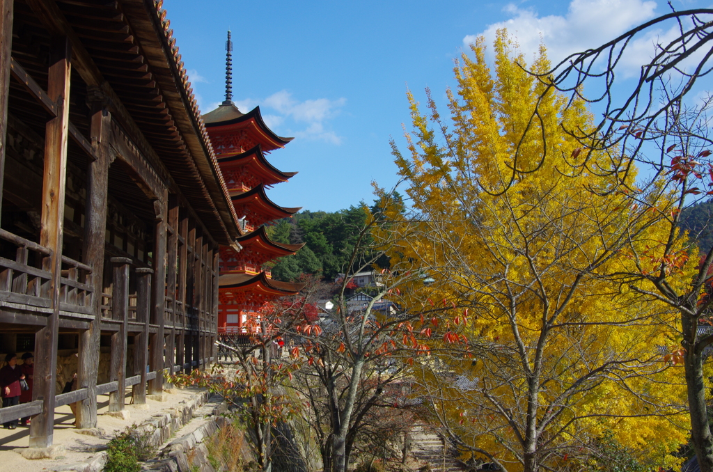 宮島の紅葉