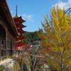 宮島の紅葉