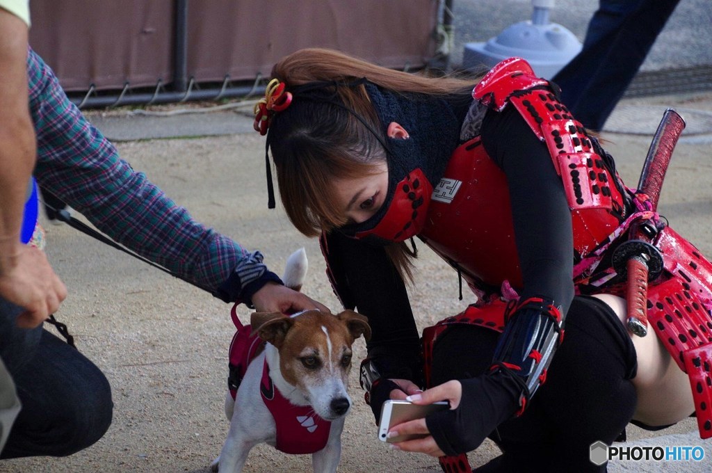 犬が好き