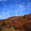 八千穂高原