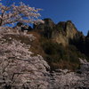 妙義山桜の里公園