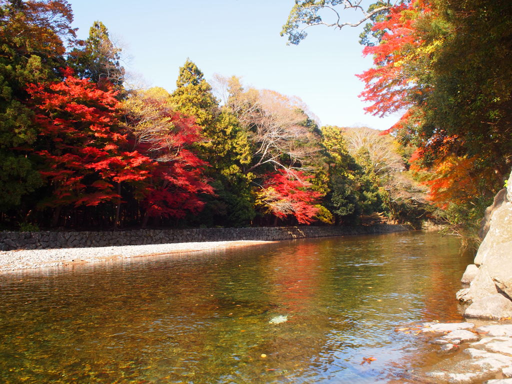 初冬に染まる紅葉。