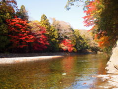 初冬に染まる紅葉。