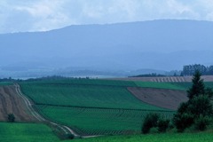 FL010011