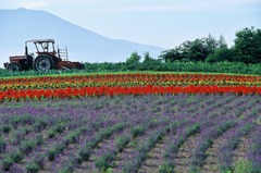 FH020003