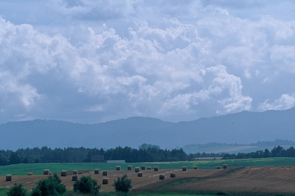 FL010013