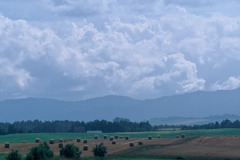 FL010013