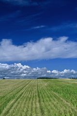 FH020016