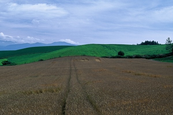 FL010030