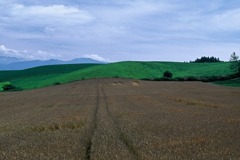 FL010030