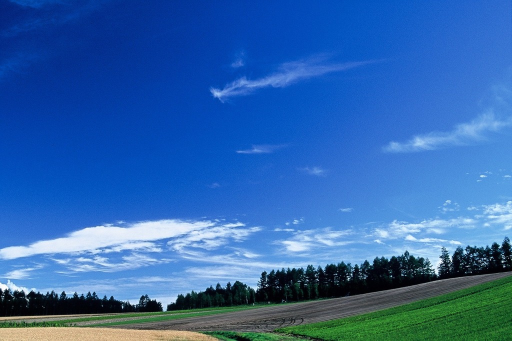 FH020007