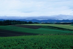 FL010033