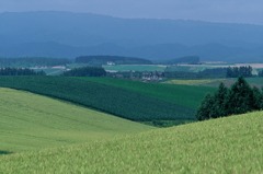 FH020014