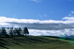 FH020008