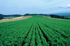 FH020001