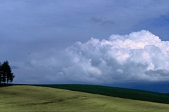 FH020025