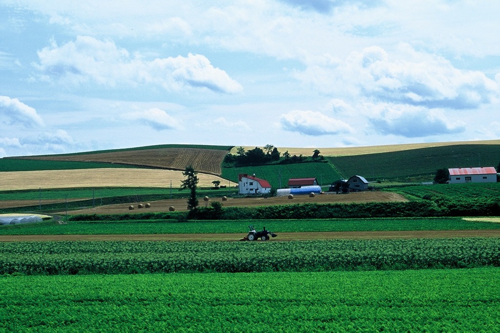 FH020004