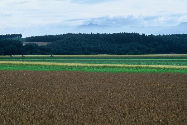 FL010024
