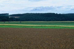 FL010024