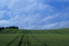 FL010022