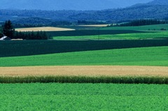 FH020033