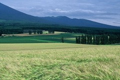 FL010014