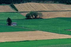 FH020002